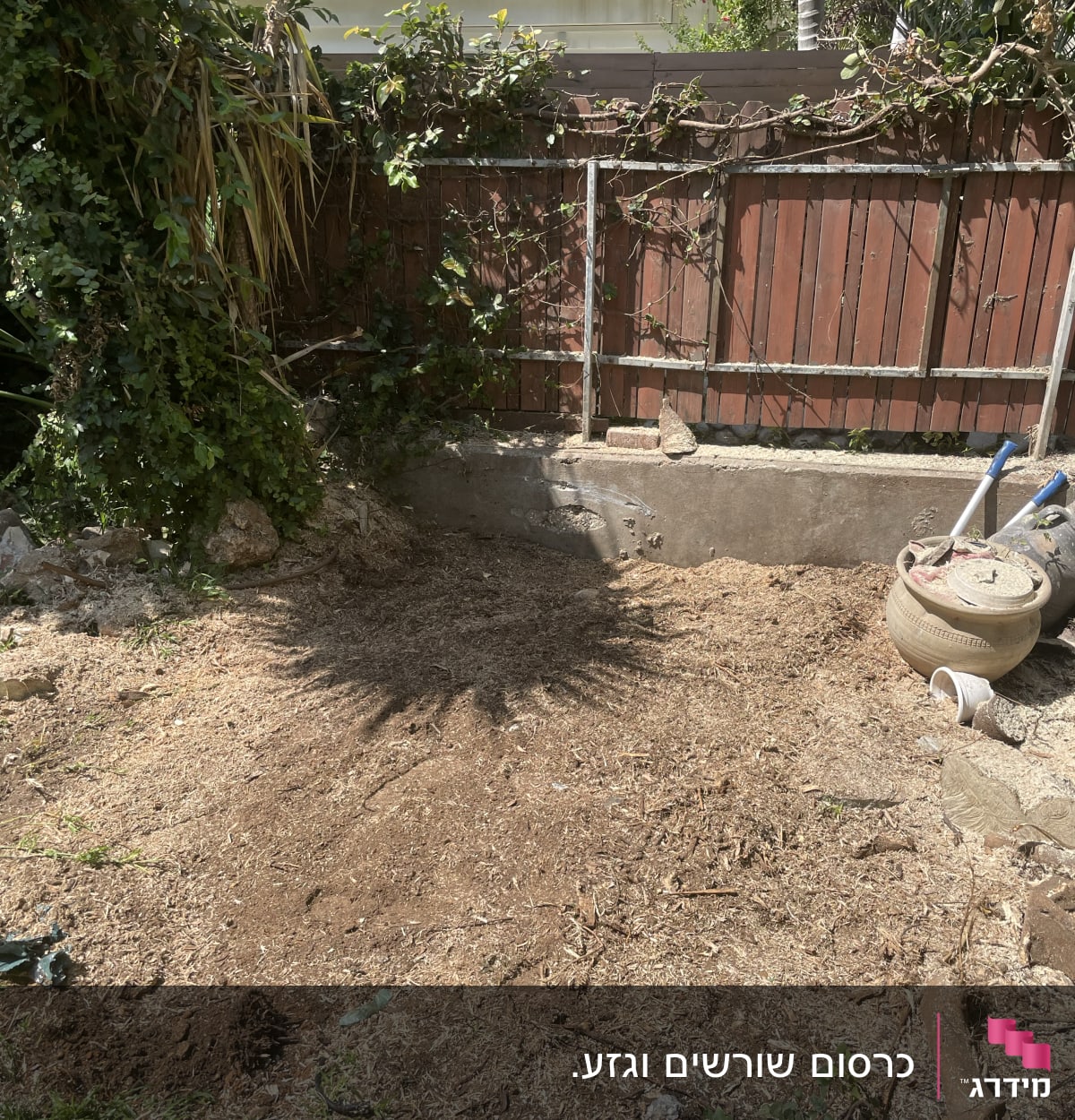 גיזום גדר חיה עם ענפים חתוכים על הקרקע